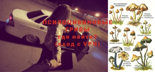 прущие грибы Лихославль