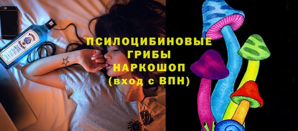 spice Липки