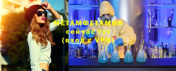 прущие грибы Лихославль