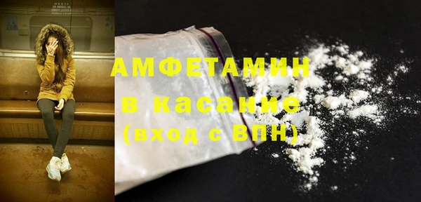 прущие грибы Лихославль