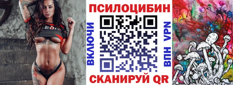 Галлюциногенные грибы Psilocybine cubensis Улан-Удэ
