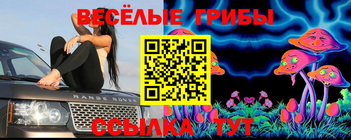 Улан-Удэ  Галлюциногенные грибы Cubensis  Вход с VPN  Галлюциногенные грибы прущие грибы 