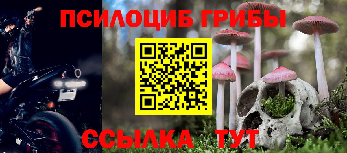 Псилоцибиновые грибы GOLDEN TEACHER Улан-Удэ