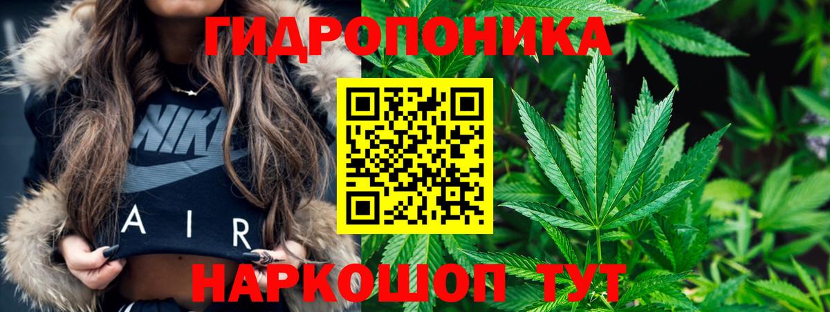 Конопля конопля Улан-Удэ